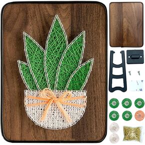 BAZIMA DIY String Art Kit for Beginner,DIY Aloe Potted Craft Kit,Unique Gift,Craft Kit for Holidays