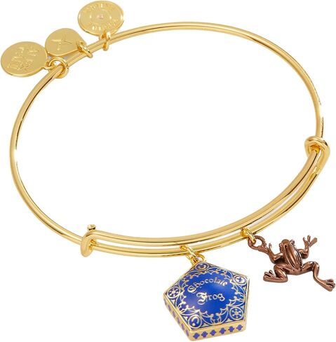 Alex and Ani AS771623TT,Harry Potter, Chocolate Frog Duo Expandable Bangle Bracelet,Two Tone,Multi, Bracelets in Saudi Arabia