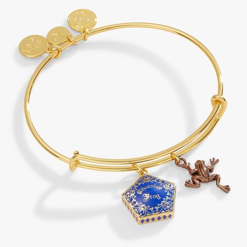 Alex and Ani AS771623TT,Harry Potter, Chocolate Frog Duo Expandable Bangle Bracelet,Two Tone,Multi, Bracelets in Saudi Arabia