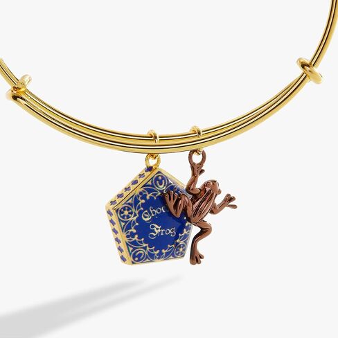 Alex and Ani AS771623TT,Harry Potter, Chocolate Frog Duo Expandable Bangle Bracelet,Two Tone,Multi, Bracelets in Saudi Arabia