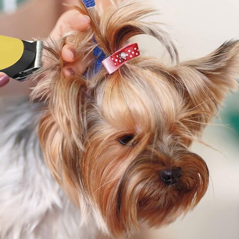 شفرة بديلة من الفولاذ والسيراميك من CONAIRPRO للكلاب والقطط Canine FX لأداة Palm Pro Micro Trimmer، 2.54 سم (PGRRB44R) in Kuwait
