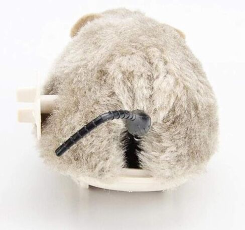 YOFOBU 8 عبوات من ماوس سباق الفئران ذات المظهر الواقعي لحفلة اللعب بالماوس in Kuwait