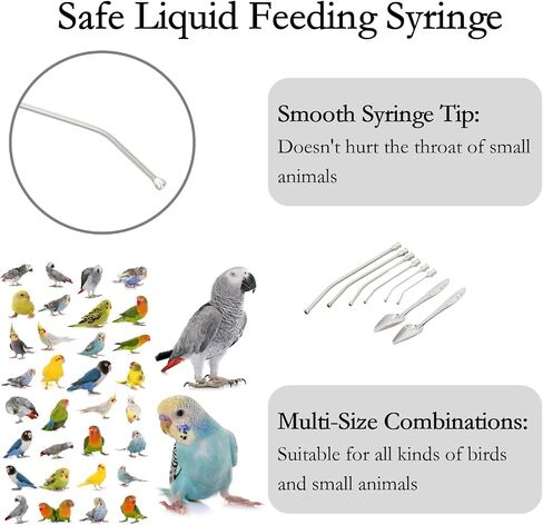 Baby Bird Feeding Syringes, 20ML Hand Pet Liquid Feeding Tubes with 6 Pcs Curved Gavage Tubes and Stainless Steel Metal Feeding Spoon for Feeding Milk or Medicine for Sick or Young Birds in Saudi Arabia