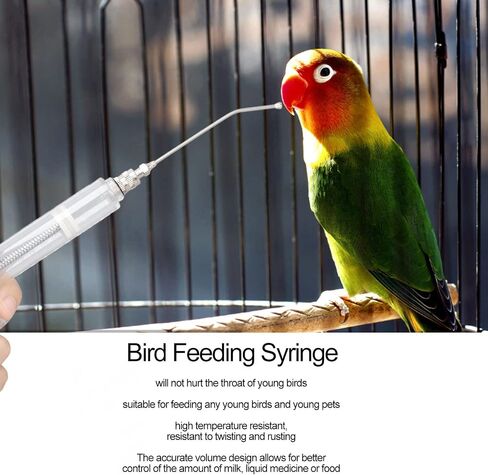 Baby Bird Feeding Syringes, 20ML Hand Pet Liquid Feeding Tubes with 6 Pcs Curved Gavage Tubes and Stainless Steel Metal Feeding Spoon for Feeding Milk or Medicine for Sick or Young Birds in Saudi Arabia