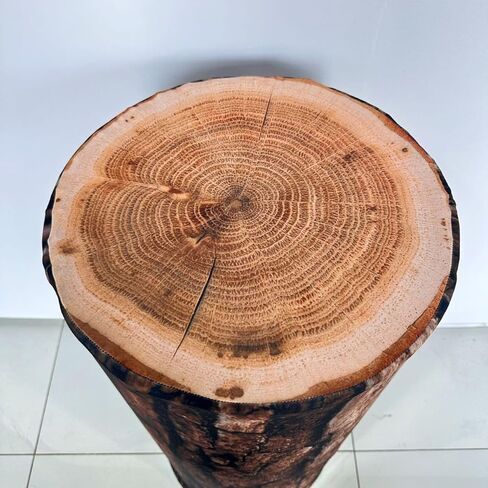 غطاء شجرة من الألياف اللدنة من NIVIUS PHOTO للدلاء المعدنية الأسطوانية - زخرفة جذعية خشبية واقعية لحفلات الديناصورات، ومناسبات أعياد الميلاد ذات طابع الغابة/الغابة in Kuwait