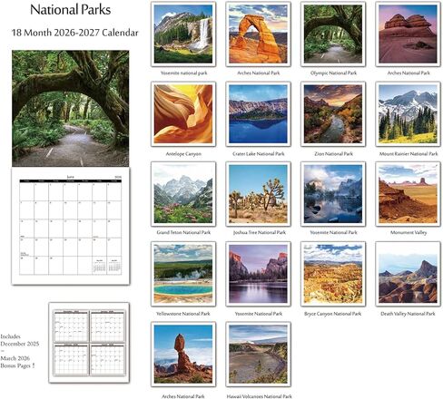 Calendar 2026-2027 - 2026-2027 Wall Calendar: APR.2026 - SEP.2027, 12" x 24" (Opened), Full Page Monthly View, Thick & Sturdy Paper for Gift, Perfect Nature Calendar Organizing & Planning in Saudi Arabia