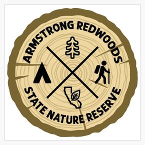 MAGNET Armstrong Redwoods State Nature Reserve Log Magnetic Bumper Sticker 5" in Saudi Arabia