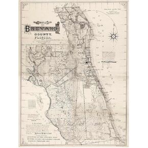 خرائط أنتيغوس مقاطعة بريفارد فلوريدا بقلم ج. فرانسيس لو بارون حوالي عام 1893 | ملصق مطبوع فني لتزيين الحائط العتيق | 24 × 32 بوصة (610 × 813 ملم) in Kuwait