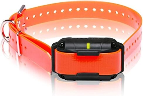 Dogtra 2300NCP Professional Grade High-Output 3/4-Mile 2-Dog Expandable Remote Training E-Collar in Kuwait