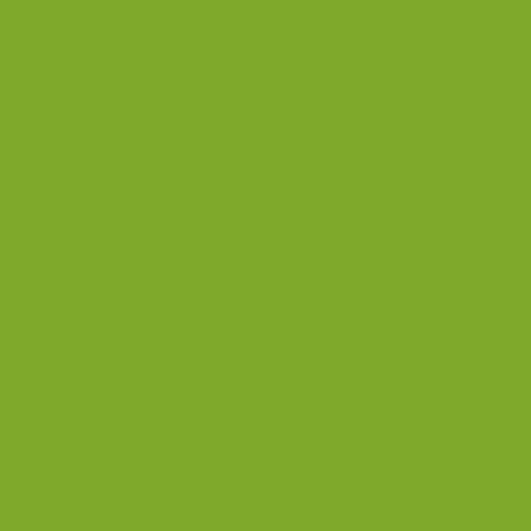 Raptor Truck Bed Liner Kit with Colored Lime Green Tint and Spray Gun - 2 Liters - Protective Spray On Paint for Coating Trucks, Tailgates, Vehicle Undercoating - Tintable Bedliner Formula in Saudi Arabia