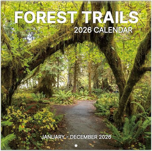 2026 Wall Calendar, 2026 Pathways Calendar, 12 Months from Jan 2026 - Dec 2026, 12" x 24" Open, Thick Paper, Hanging Holes, Large Blocks, Moon Phases, Holidays, Gifts for Planning or Organizing in Saudi Arabia