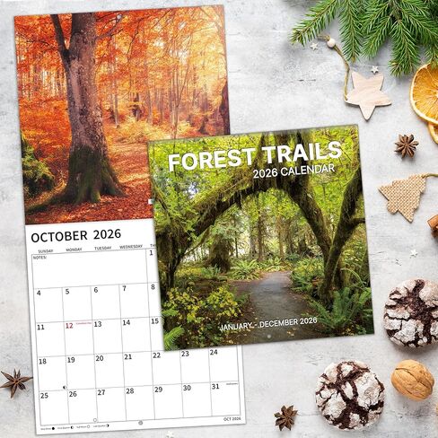 2026 Wall Calendar, 2026 Pathways Calendar, 12 Months from Jan 2026 - Dec 2026, 12" x 24" Open, Thick Paper, Hanging Holes, Large Blocks, Moon Phases, Holidays, Gifts for Planning or Organizing in Saudi Arabia