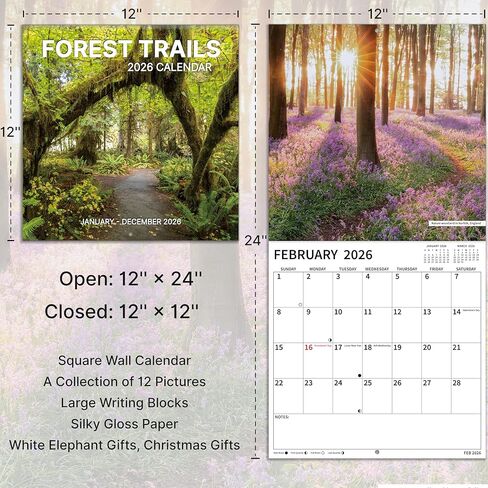 2026 Wall Calendar, 2026 Pathways Calendar, 12 Months from Jan 2026 - Dec 2026, 12" x 24" Open, Thick Paper, Hanging Holes, Large Blocks, Moon Phases, Holidays, Gifts for Planning or Organizing in Saudi Arabia