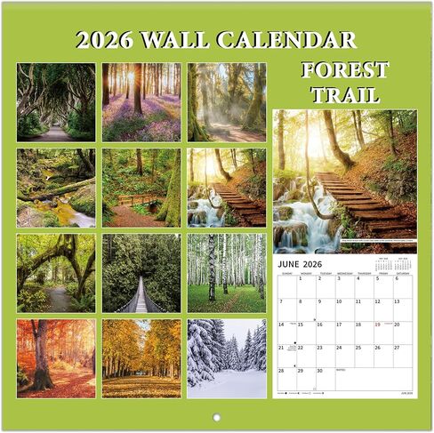 2026 Wall Calendar, 2026 Pathways Calendar, 12 Months from Jan 2026 - Dec 2026, 12" x 24" Open, Thick Paper, Hanging Holes, Large Blocks, Moon Phases, Holidays, Gifts for Planning or Organizing in Saudi Arabia