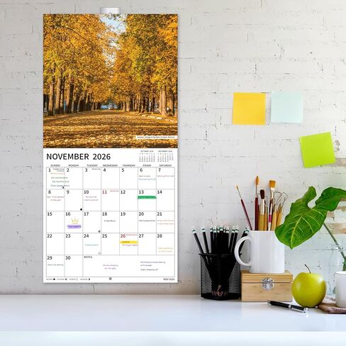2026 Wall Calendar, 2026 Pathways Calendar, 12 Months from Jan 2026 - Dec 2026, 12" x 24" Open, Thick Paper, Hanging Holes, Large Blocks, Moon Phases, Holidays, Gifts for Planning or Organizing in Saudi Arabia