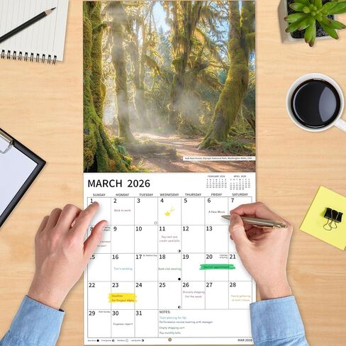 2026 Wall Calendar, 2026 Pathways Calendar, 12 Months from Jan 2026 - Dec 2026, 12" x 24" Open, Thick Paper, Hanging Holes, Large Blocks, Moon Phases, Holidays, Gifts for Planning or Organizing in Saudi Arabia