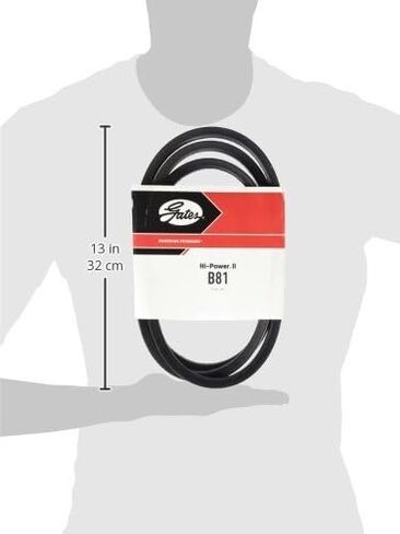 Gates B81 Belt in Saudi Arabia