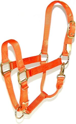 Hamilton 1-Inch Nylon Halter with Adjustable Chin, Mango Orange - Average Size in Saudi Arabia