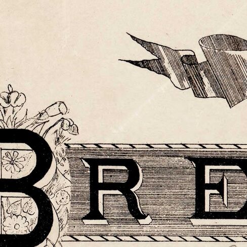 خرائط أنتيغوس مقاطعة بريفارد فلوريدا بقلم ج. فرانسيس لو بارون حوالي عام 1893 | ملصق مطبوع فني لتزيين الحائط العتيق | 24 × 32 بوصة (610 × 813 ملم) in Kuwait