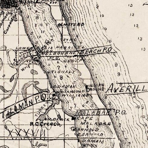 خرائط أنتيغوس مقاطعة بريفارد فلوريدا بقلم ج. فرانسيس لو بارون حوالي عام 1893 | ملصق مطبوع فني لتزيين الحائط العتيق | 24 × 32 بوصة (610 × 813 ملم) in Kuwait