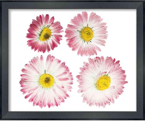 28x40 Black Shadowbox Frame - Shadow Box Frame Interior Size 28x40 x 1.25 Inches Deep - Black Frame Made to Display Items Up to 1.25 Inches Deep Includes Shatter Resistant Acrylic, Backing, Hardware in Saudi Arabia