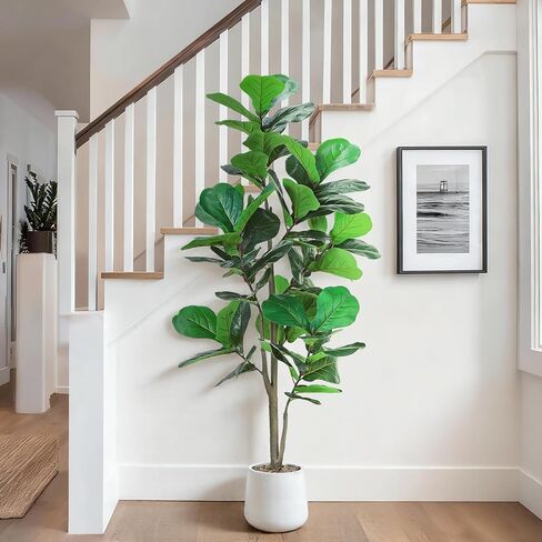 شجرة أوراق الكمان الاصطناعية، أشجار اللبخ المزيفة بطول 6 أقدام مع نبات أبيض - مثالية للمنزل والمكتب وغرفة المعيشة وديكور المنزل الداخلي، هدية مثالية للدفء المنزلي in Kuwait