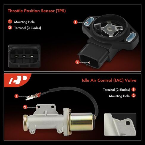 A-Premium Idle Air Control Valve IAC + Throttle Position Sensor TPS Compatible with Nissan Pickup 1995 1996, 2.4L in Kuwait