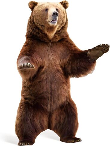 4FT الدب البني قطع من الورق المقوى بالحجم الطبيعي الحيوان انقطاع واقعية الغابات الحياة البرية صور كشك الدعامة الديكور للأحزاب، والأحداث تحت عنوان حديقة الحيوان، والفصول الدراسية، لوازم الديكور عيد ميلاد 30.91 "× 47.24" in Kuwait