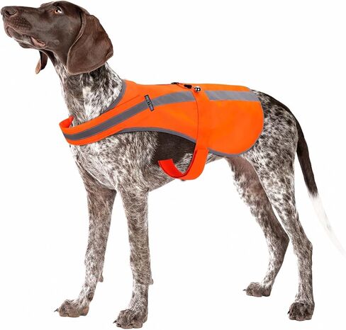 سترة عاكسة للكلاب متوسطة وكبيرة الحجم، سترة أمان عالية الوضوح للكلاب مع جرس للكلب تحافظ على سلامة الكلب من الصيد والتدريب وحوادث السيارات in Kuwait
