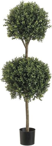4' Double Ball-shaped Boxwood Topiary in Plastic Pot Two Tone Green in Saudi Arabia