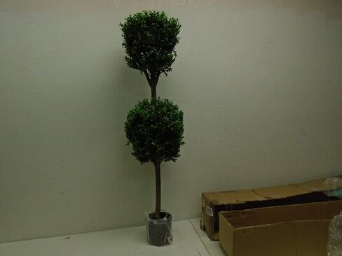 4' Double Ball-shaped Boxwood Topiary in Plastic Pot Two Tone Green in Saudi Arabia