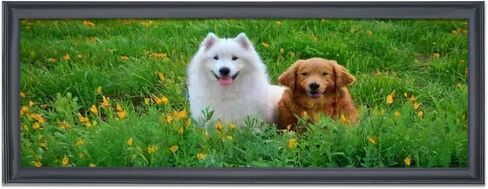 إطار صورة مقاس 11 × 33 بوصة من الخشب الصلب إطار صورة بانوراميكا مقاس 11 × 33 بوصة إطار ملصق إطار اللوحة أسود (X23B1133) in Kuwait