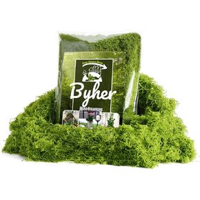 BYHER طحلب وهمي للحرف اليدوية - طحلب صناعي رقيق يشبه السحاب 3.5oz للنباتات الداخلية والحدائق الخيالية - بديل الطحلب الأخضر الواقعي للمرابيات والديوراما والمشاهد النموذجية (أخضر داكن) in Kuwait