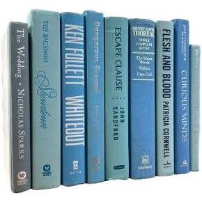 كتب حقيقية من Color® ديكور المنزل على الرفوف، عنصر زخرفي للصور (1 فردي، أزرق فاتح) in Kuwait