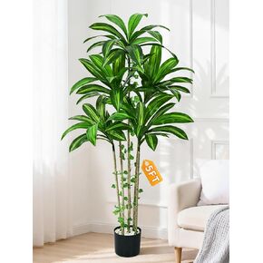 شجرة دراسينا صناعية حقيقية بطول 5 أقدام من Dolicer في الداخل مع زارع أسود، نباتات داخلية صناعية وهمية واقعية مع جذع طبيعي وأوراق نابضة بالحياة لغرفة المعيشة في المنزل والمكتب in Kuwait