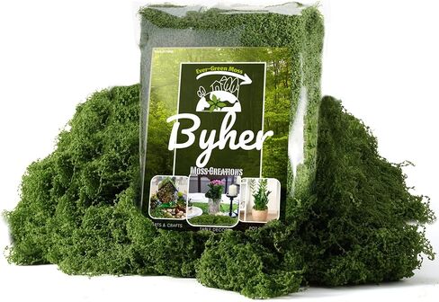BYHER طحلب وهمي للحرف اليدوية - طحلب صناعي رقيق يشبه السحاب 3.5oz للنباتات الداخلية والحدائق الخيالية - بديل الطحلب الأخضر الواقعي للمرابيات والديوراما والمشاهد النموذجية (أخضر داكن) in Kuwait