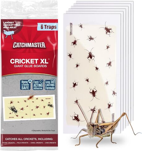 Catchmaster Cricket XL Giant Glue Boards 6-Pk, Adhesive Bug Catcher Cricket Traps Indoor, Sticky Trap for Inside Your Home, Bulk Insect Killer, Insect Traps for House & Garage, Pest Control for Home in Saudi Arabia