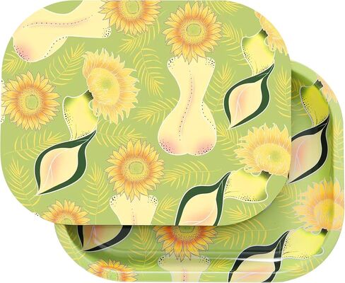Metal Tray with Soft Magnetic Lid, Pretty Decorative Tray with Magnetic Self-Sealing Cover, Perfect for Home and Travel, 7’’×5.5’’(Green) in Saudi Arabia