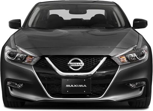 iPick Image for Nissan Maxima 3D Brush Metal Look Logo Black Stainless Steel License Plate in Saudi Arabia