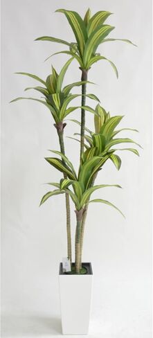 شجرة Dracaena الاصطناعية بطول 4 أقدام شجرة وهمية في الداخل مع زارع أبيض طويل القامة، Dracaena ذات اللمس الحقيقي، نباتات صناعية طويلة في الداخل لغرفة المعيشة مكتب ديكور الشرفة، تدفئة المنزل in Kuwait
