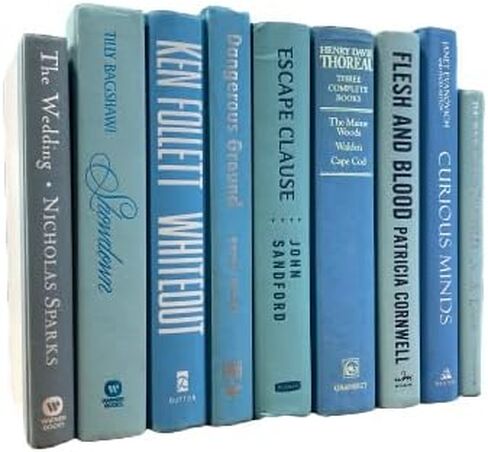 كتب حقيقية من Color® ديكور المنزل على الرفوف، عنصر زخرفي للصور (1 فردي، أزرق فاتح) in Kuwait