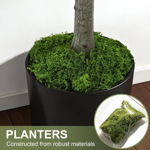 Artificial Olive Trees, 5FT Tall Faux Olive Tree with Lights Moss and Planter, Artificial Plants Indoor with Natural Wood Trunk and Lifelike Fruits Fake Plant for Home Office Living Room Decor in Saudi Arabia