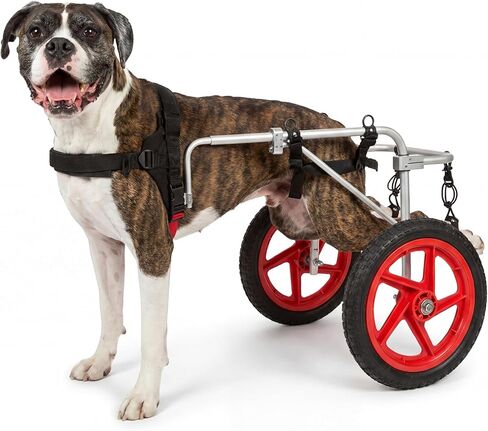 افضل التنقل بين الاصدقاء كرسي متحرك كبير للكلاب in Kuwait