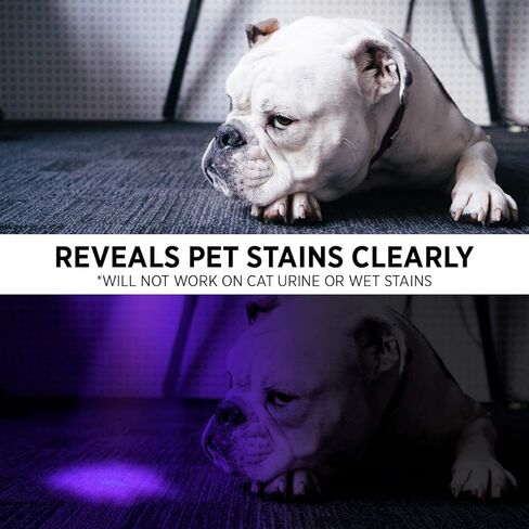 جيرلايت مصباح يدوي بالاشعة فوق البنفسجية S50 من بلاك لايت [عبوتان] - مصباح يدوي صغير 365 نانومتر لفحص الهوية وكشف تسرب التيار المتردد ومعالجة الراتنج - بول الحيوانات الاليفة والعقرب والكشف عن البقع in Kuwait