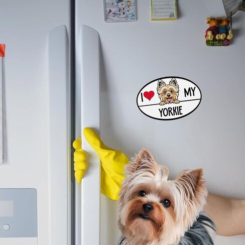 ملصق مغناطيسي للسيارة Magnet Me Up I Love My Yorkie Dog Breed Car، بيضاوي مقاس 4x6 بوصات، زخرفة رائعة للمركبة والثلاجة والمزيد! إكسسوارات سيارة لطيفة للكلاب، هدية لمحبي يوركي، صُنعت في الولايات المتحدة الأمريكية in Kuwait