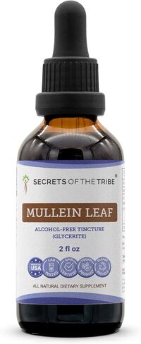 سيكريتس أوف ذا ترايب مولين، مستخلص سائل خالٍ من الكحول، مولين (فيرباسكوم دينسيفلوروم) (4 أونصة سائلة) in Kuwait