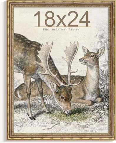 Picrit Vintage 18x24 إطار صورة معلق على الحائط مع زجاج مقسى، إطار ملصق مزخرف ذهبي عتيق مع لوحة خلفية سوداء، ديكور منزلي قديم مزخرف، فن معرض الصور على الطراز القديم in Kuwait