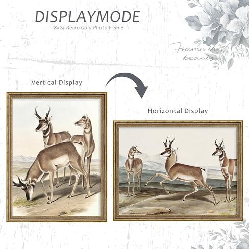 Picrit Vintage 18x24 إطار صورة معلق على الحائط مع زجاج مقسى، إطار ملصق مزخرف ذهبي عتيق مع لوحة خلفية سوداء، ديكور منزلي قديم مزخرف، فن معرض الصور على الطراز القديم in Kuwait