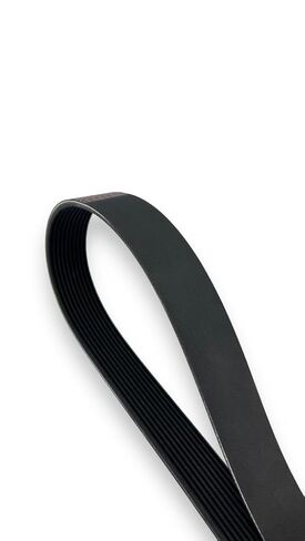 حزام المروحة لمحرك Mack MP8 10PK1855-88GB447P728 in Kuwait