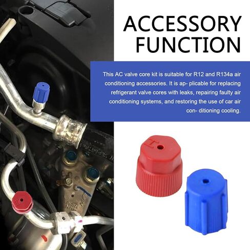 17 PCS Air Conditioning Valve Core Kit, R12 R134A A/C Ducts Pressure Caps and Service Valves, Universal Valve Core A/C Refrigeration SystemKit, for Most Cars (Multicolored) in Saudi Arabia